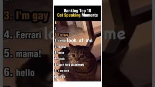 TOP 10 CAT SPEAKING #fypシ #fypシ゚viral #kucinglucu #catvideos BY #microartdotnet