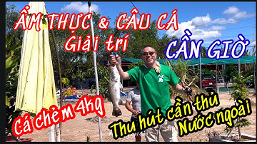 ẨM THỰC & CÂU CÁ CHẺM GIẢI TRÍ TẠI CẦN GIỜ | THU HÚT KHÁCH HÚT NGOÀI | @nhipsongsaigonchannel
