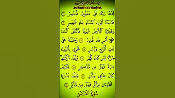 ما تيسر من سورة القمر #بصوت شيخ سعد الغامدي #duet #راحة نفسية لا توصف