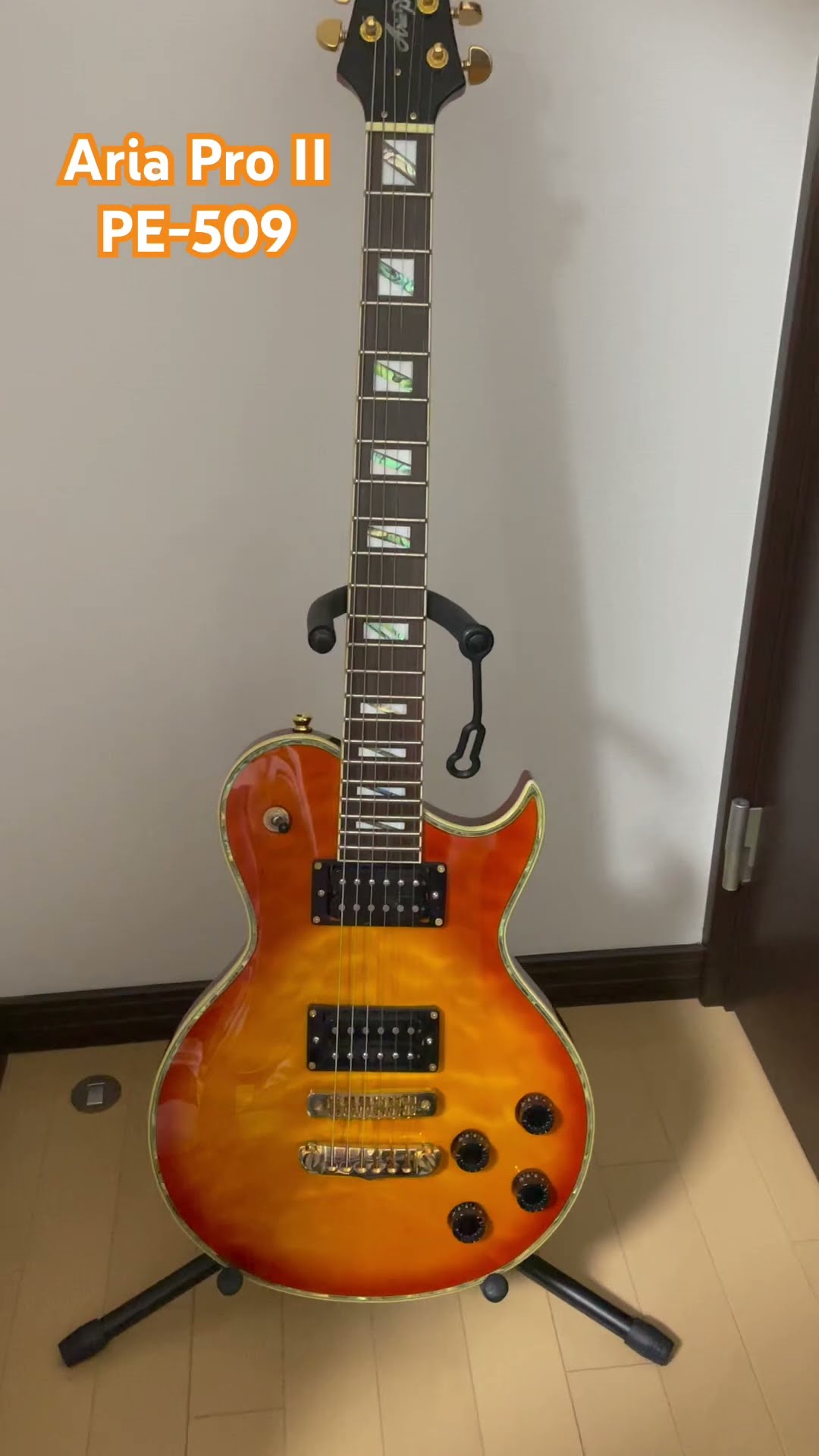ARIA pe509ニアミント ARIA pe509ニアミント