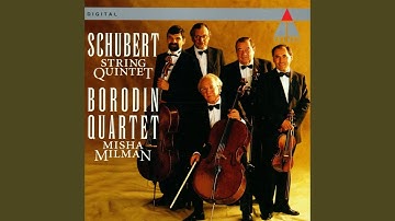 String Quintet in C Major, Op. 163, D. 956: II. Adagio