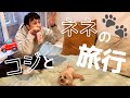 児嶋夫婦と愛犬ネネの楽しい旅