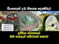 බිංගෙයක් උඩ තියෙන දෙමෝදර දුම්රිය ස්ථානය | Demodara railway station