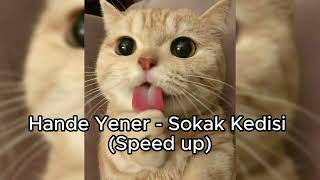 Hande Yener ~ Sokak Kedisi (Speed Up ) Resimi