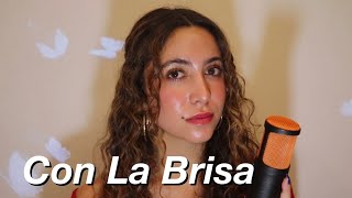 Con La Brisa - Foudeqush \u0026 Ludwig Goransson (cover by Rebecca Abiantoun)