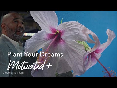 plant-your-dreams-|-motivated-+