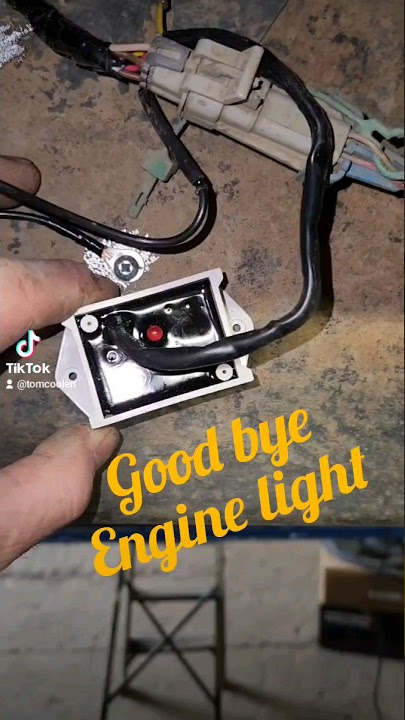 No Cat's? No Problem! O2 Simulator!