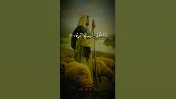 وما تلك بيمينك ياموسى #قرآن #اكسبلور #الرحمن #تلاوة_هادئة #حالات_واتس #دويتو #قران_كريم #تصويري#لايك