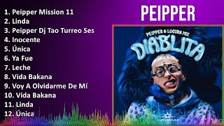 PEIPPER 2024 MIX Best Songs - Peipper Mission 11, Linda, Peipper Dj Tao Turreo Sessions #15, Ino...
