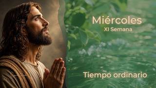 Miércoles de la XI semana del Tiempo ordinario. Sagrada Familia Banfield