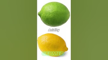 Lime Vs Lemon