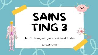 SAINS TINGKATAN 3 BAB 1 - RANGSANGAN DAN GERAK BALAS