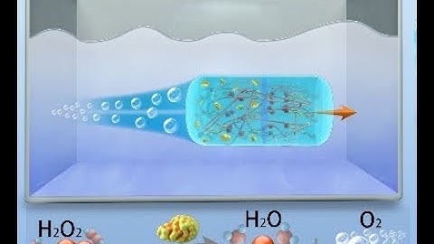 Self-Healing Catalytic Soft Robots