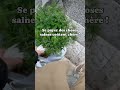 Se payer des choses saines coûtent chères