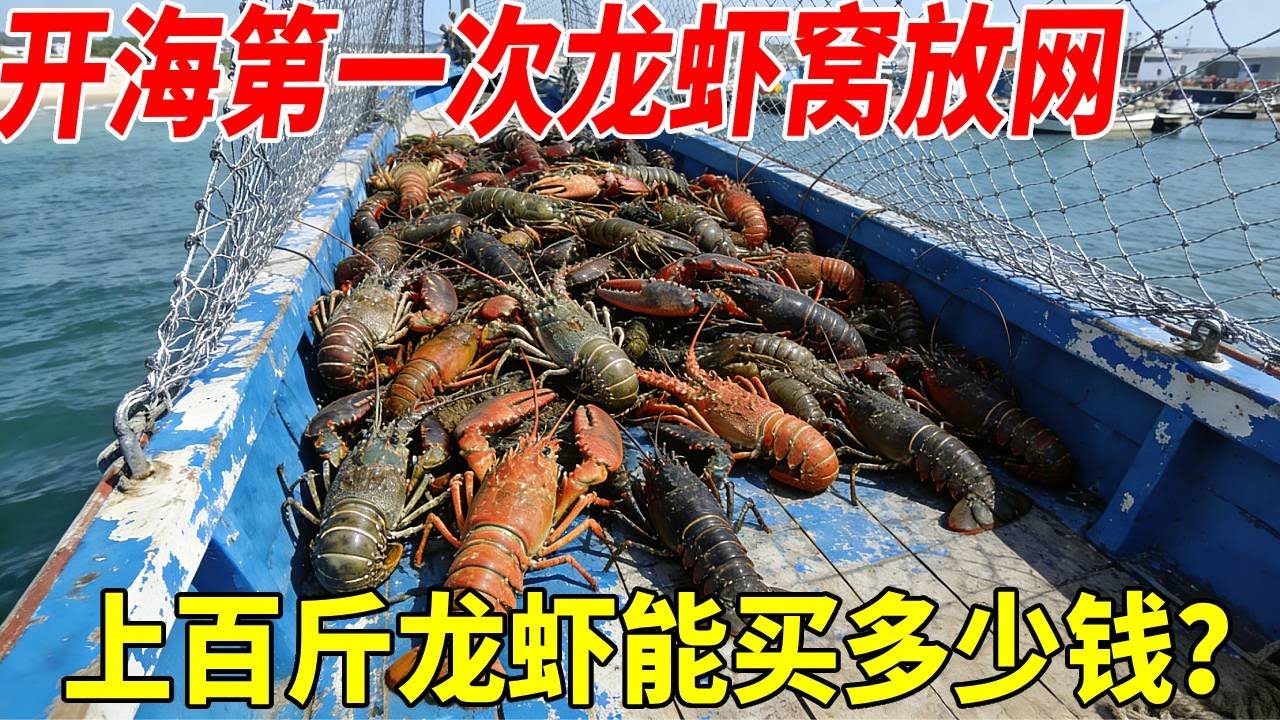开海捕鱼后的第一次龙虾窝放网，也捕到了龙虾，看最终卖多少钱吧#赶海 #丰收 #渔民生活实拍