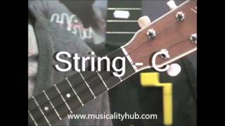Ukulele Strings - C Tuning