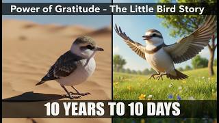 The Power of Gratitude | One “Thank You” Can Change Your Life