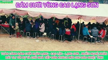 Toàn Cảnh Đám Cưới Xuân Long , Nhiều Nghệ Nhân Hát Sli Tới Dự Và Anh Chủ Nhà Tiếp Đón Nhiệt Tình