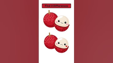 Spot 3 Differences #1363