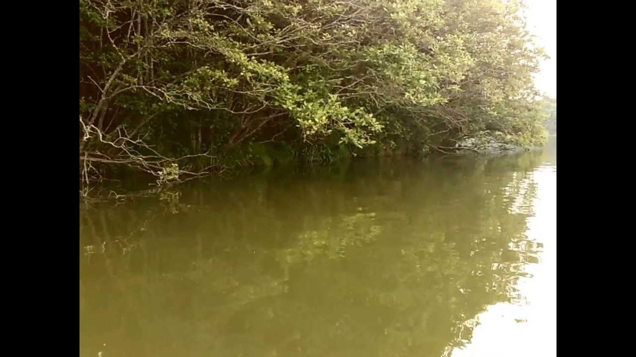 Maiden Voyage With Our Manta On Mill Creek Lake , Virginia YouTube