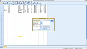 SPSS - t-Test (2 independent, unpaired groups)