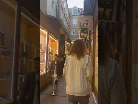 The Most Famous Schnitzel in Vienna ???????????? | Figlmüller Bäckerstraße ￼