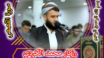 سورة القصص كاملة التي يبحث عنها الجميع بصوت رزكار محمد الكردي 💯💯💯