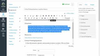 Canvas Rich Text Editor - Organizing Written Material To Be Both Visually Appealing and Accessible