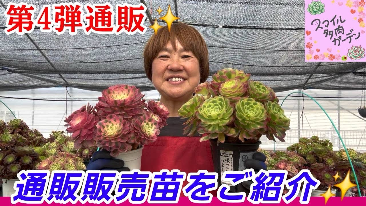 5/26 [4th Online Sale] First Cluster Plant Sale ✨ Introducing