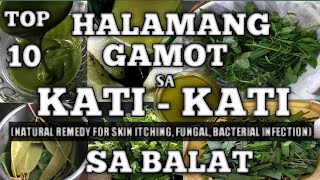 TOP 10 HALAMANG GAMOT PARA SA KATI-KATI SA BALAT || 10 PLANTS FOR SKIN ITCHING & FUNGAL INFECTIONS
