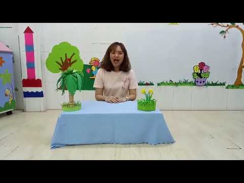 Tiết dạy nhận biết tập nói của cô Kim Kiều lớp 24-36 tháng(1)