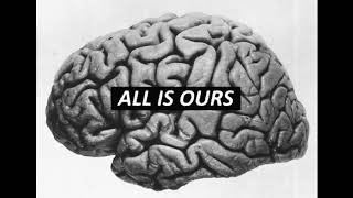 Celebrity The Ballsbreakers - Theory of Devolution, Part 2 (Original) (Lyric Video) Wealth
