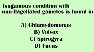 Isogamous Condition With Non-Flagellated Gametes Is Found In