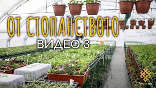 От стопанството - Видео 3 - 06.03.2023