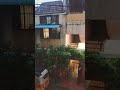 Chennai non stop heavy to heavy rain🌧🌧🌧