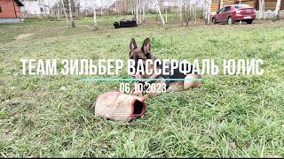 ТЕАМ ЗИЛЬБЕР ВАССЕРФАЛЬ ЮЛИС зарисовки с тренинга 06.10.2023 (немецкая овчарка)