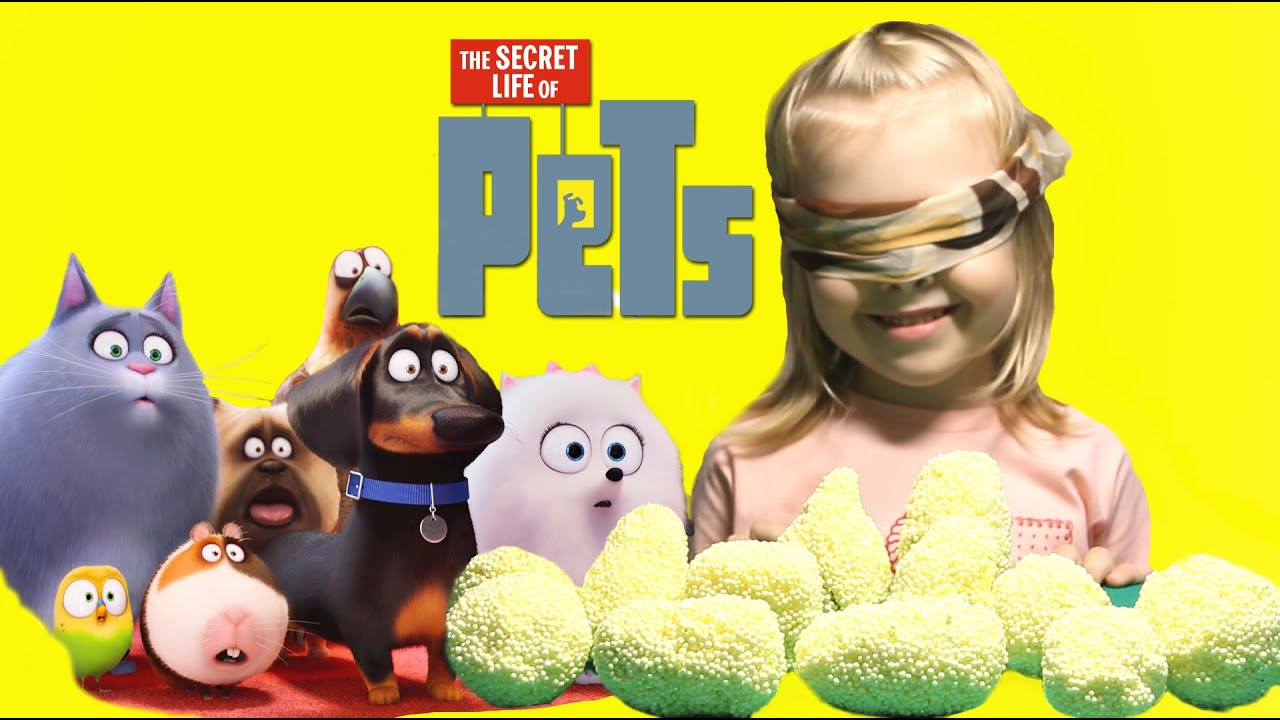 Найди героя из Мультфильма Тайная жизнь домашних животных!