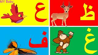 أنشودة الحروف الهجائية العربية للأطفال 11 | مع صور الحيوانات المتحركة | arabic alphabet song