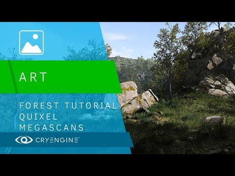 Forest Tutorial - Quixel Megascans