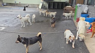 합법적인 곳으로 왔는데도 민원은 멈추지 않습니다