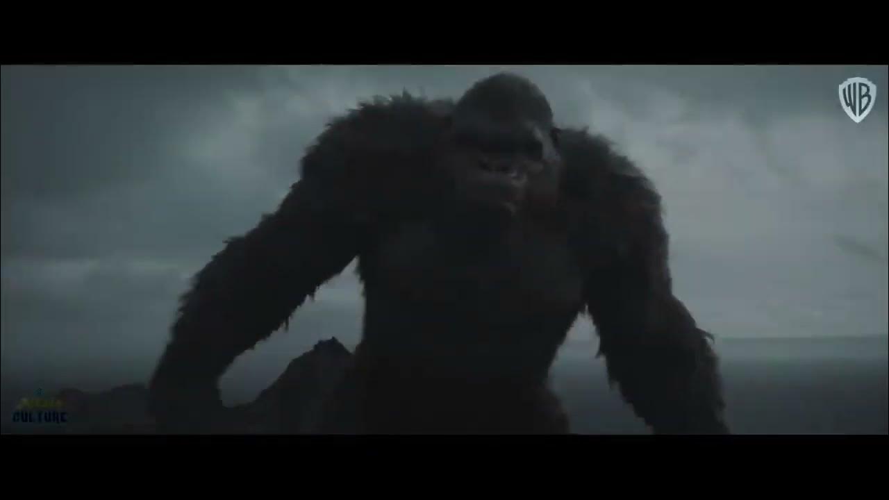 я медведь трейлер 2024