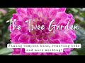 Fixing compost bins, removing beds and more weeding!