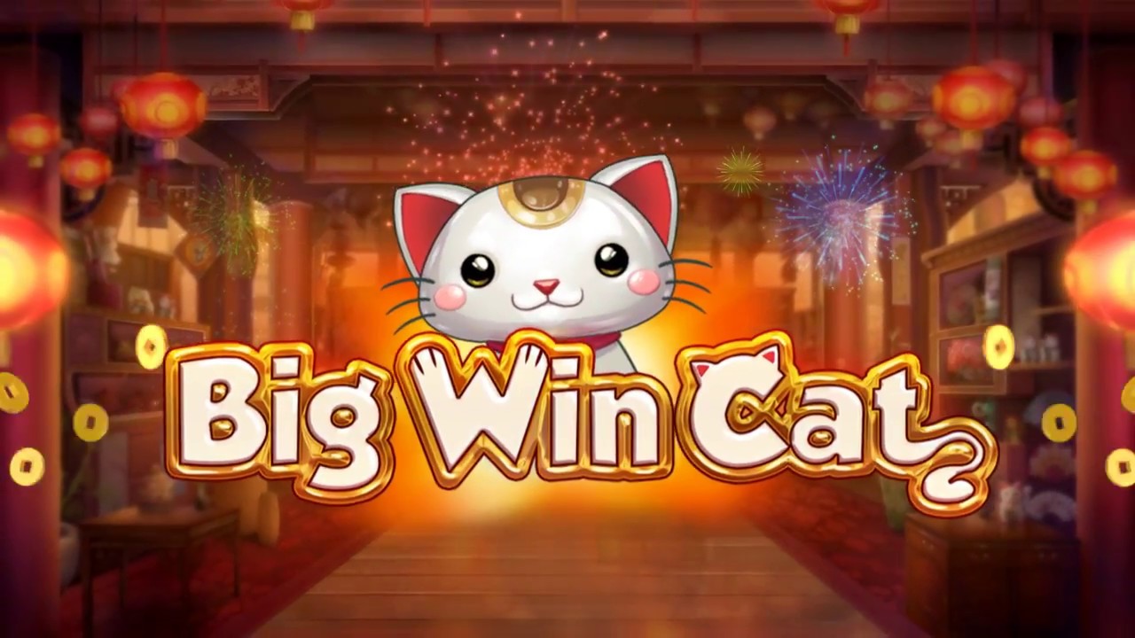 Игровой автомат Big Win Cat от Play'n Go