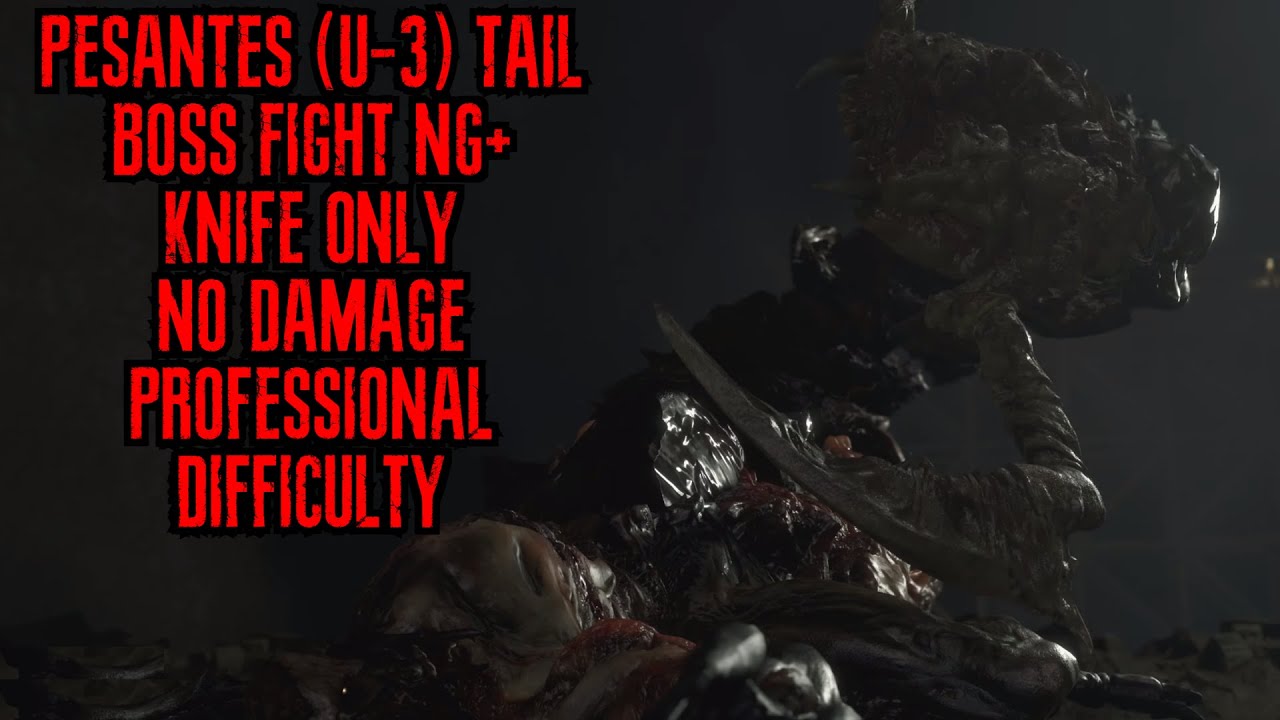 Pesanta (U-3) Tail Form Knife Only No Damage Professional Difficulty NG+