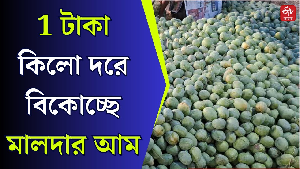 malda-mango-rate-crisis-1