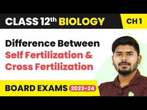 Difference Between Self Fertilization And Cross Fertilization - Reproduction in Organisms | Class 12