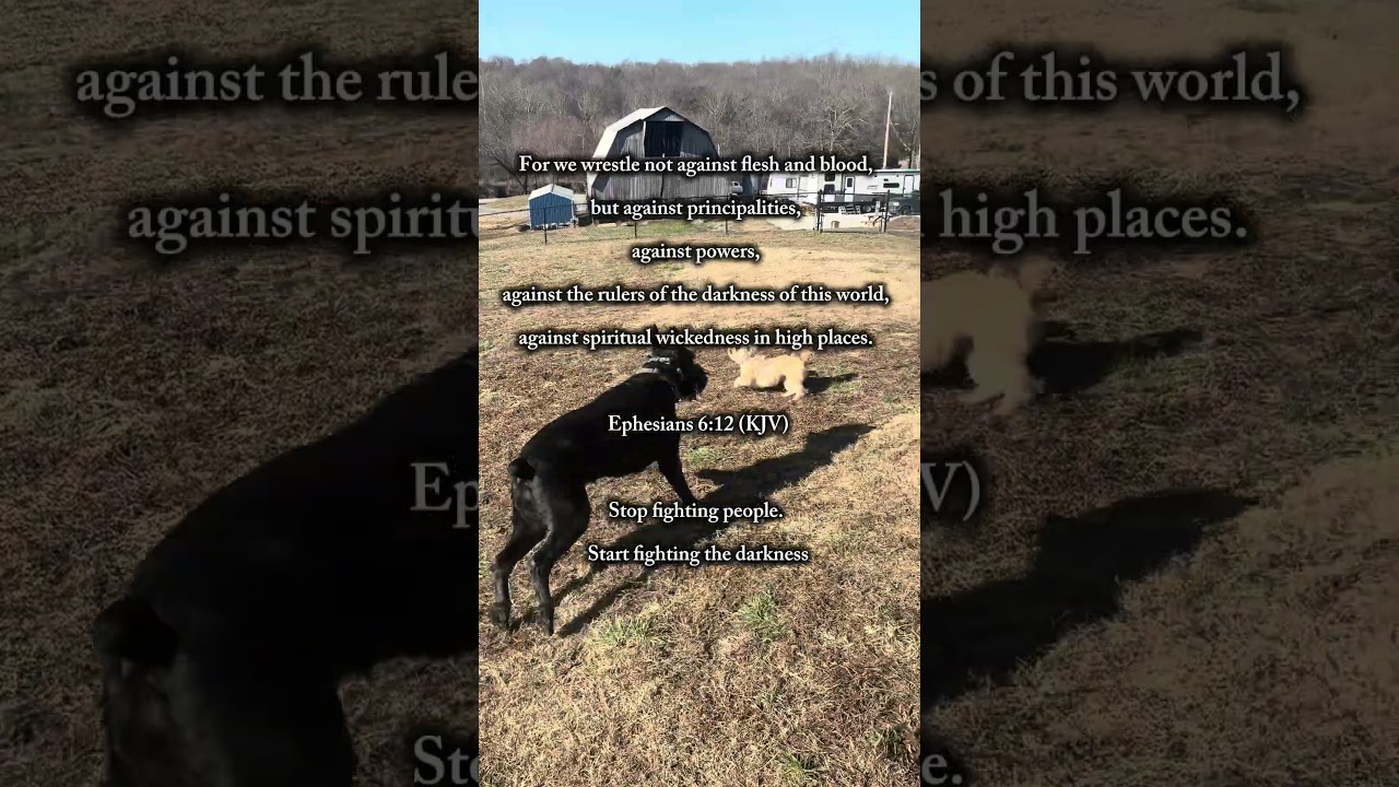 Stop fighting people. 