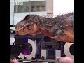 T-Rex Amazing Animatronics • 03-11-21 Thursdat