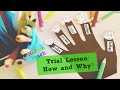 Trial lesson: ideas | Как провести пробный урок.