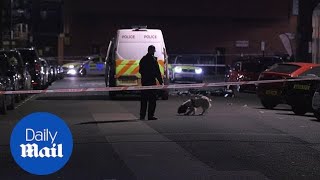 Police use sniffer dogs after fatal stabbing near London Mosque
